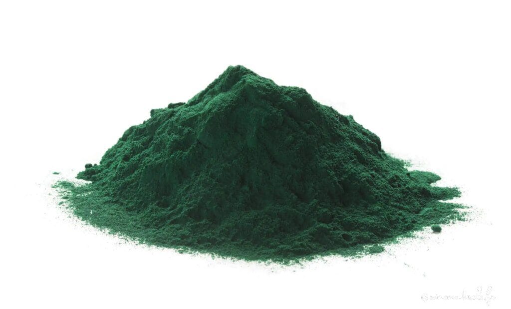 La spiruline, nutriment complet et naturel