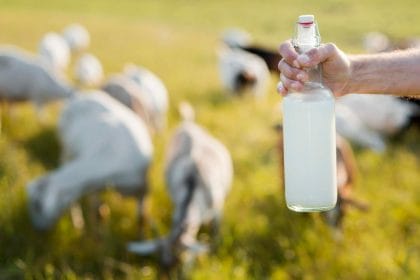 Six avantages du savon au lait de chèvre