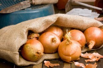 L'oignon : un aliment bénéfique pour la santé