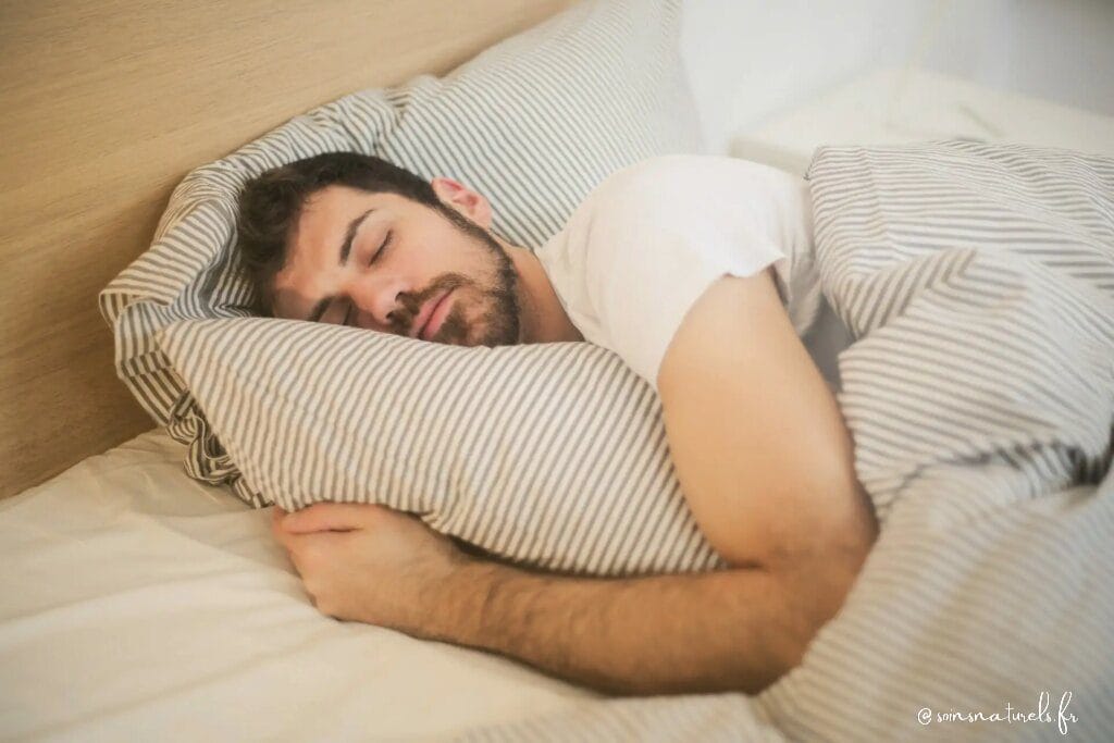 Comment les plantes peuvent améliorer votre sommeil : focus sur la valériane, la mélisse et la lavande