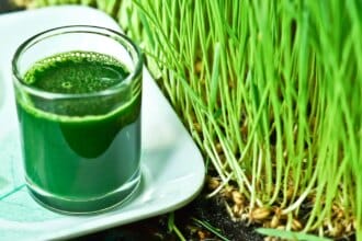 Vitalité et purification : les avantages du jus d'herbe de blé