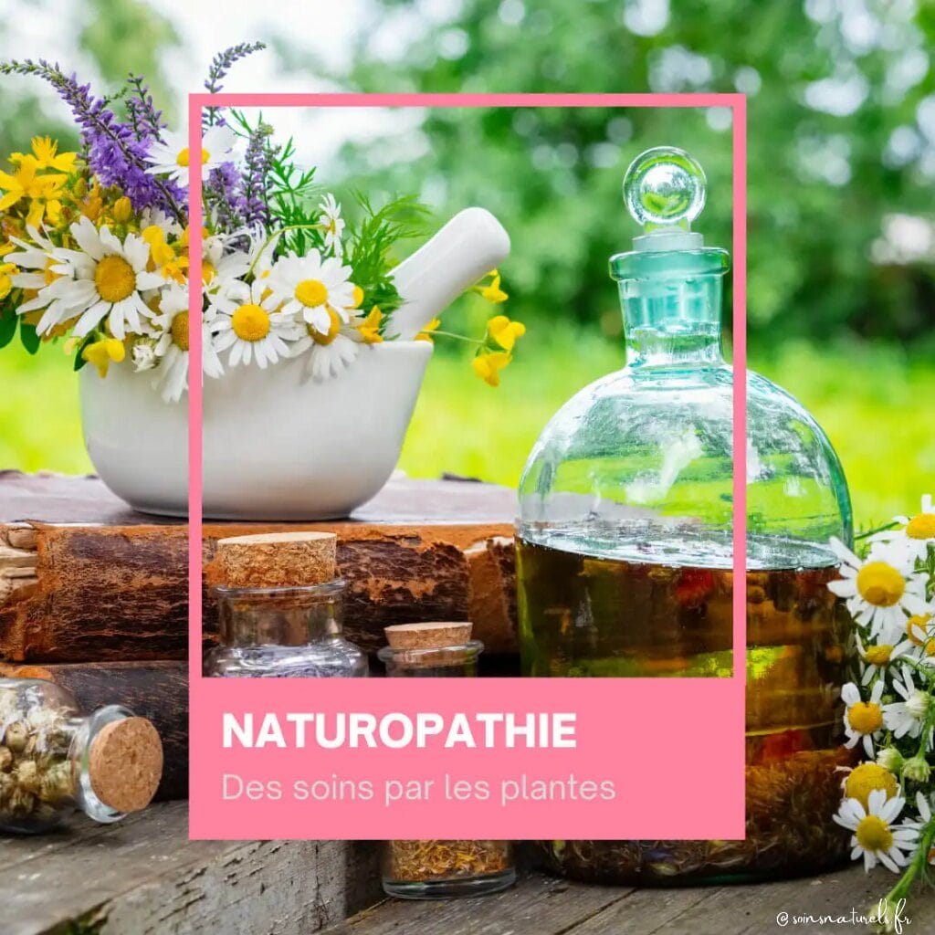 Soins naturels par les énergies et les plantes - Thérapeute experte et diplômée