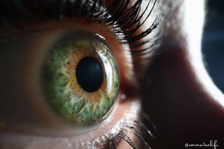 L'œil, une carte du corps humain : l'iridologie en détail