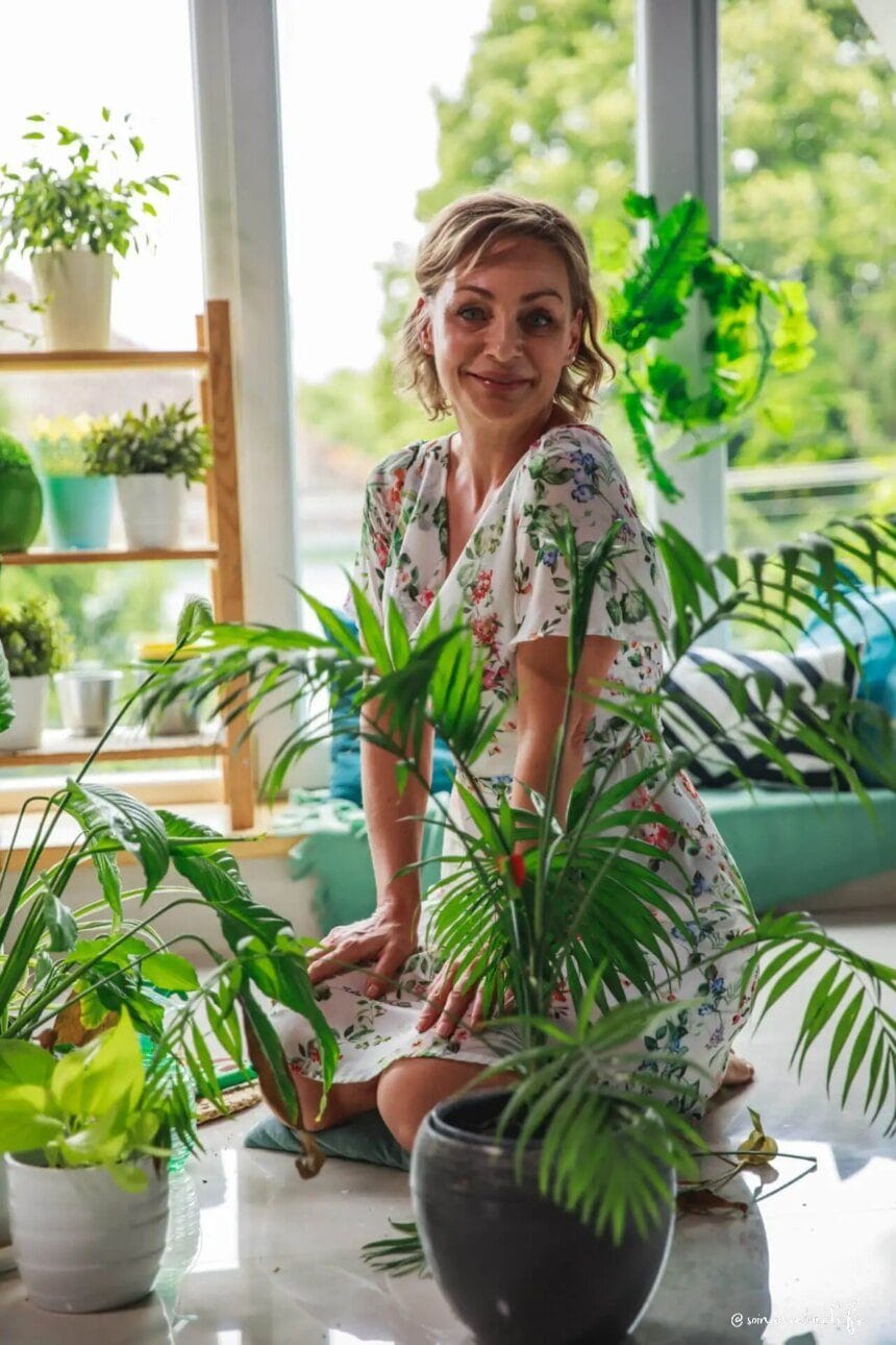 Purifier l'air intérieur avec des plantes