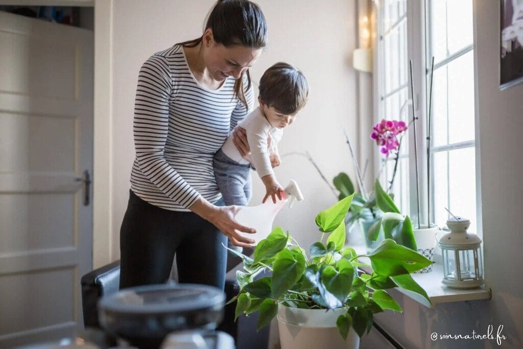 Purifier l'air intérieur avec des plantes