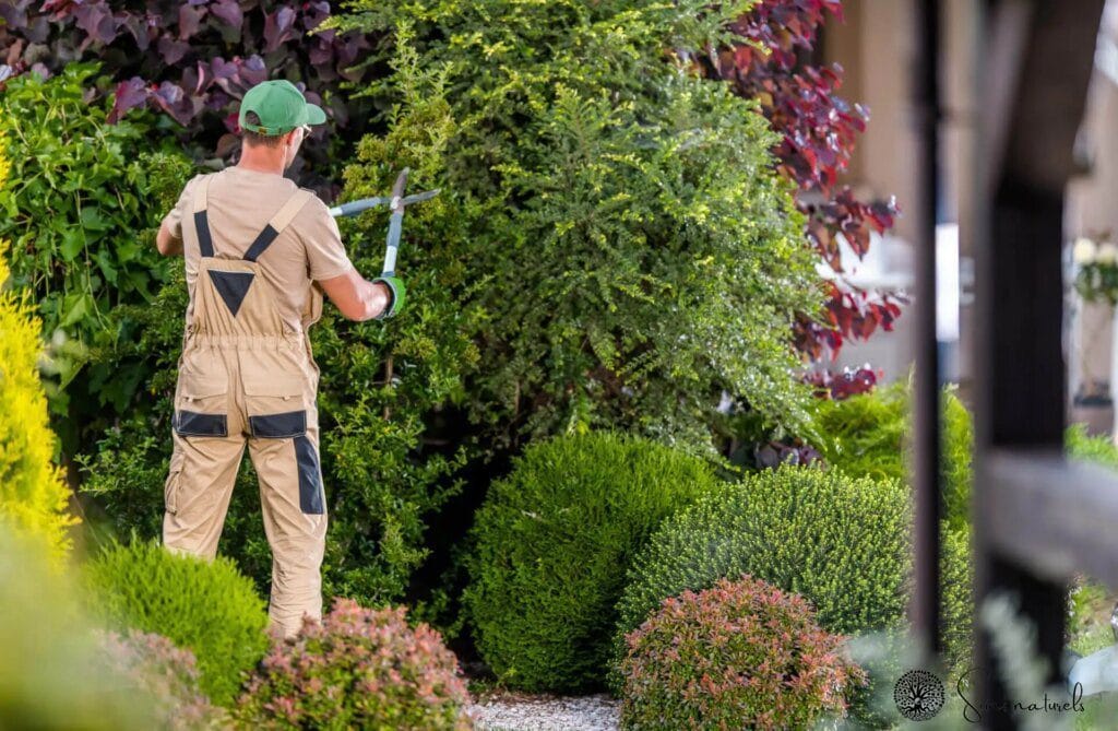 Prévenir les problèmes de santé grâce au jardinage : conseils d'experts