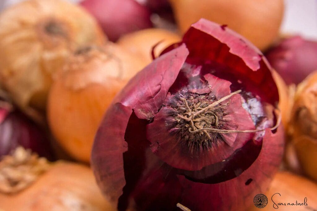 Astuce culinaire : évitez la pourriture des pommes de terre et des oignons grâce à cette astuce TikTok