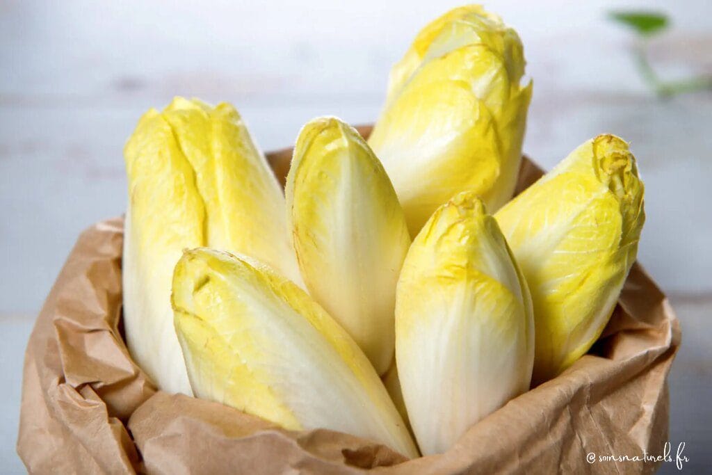 Les bienfaits insoupçonnés des endives pour votre santé