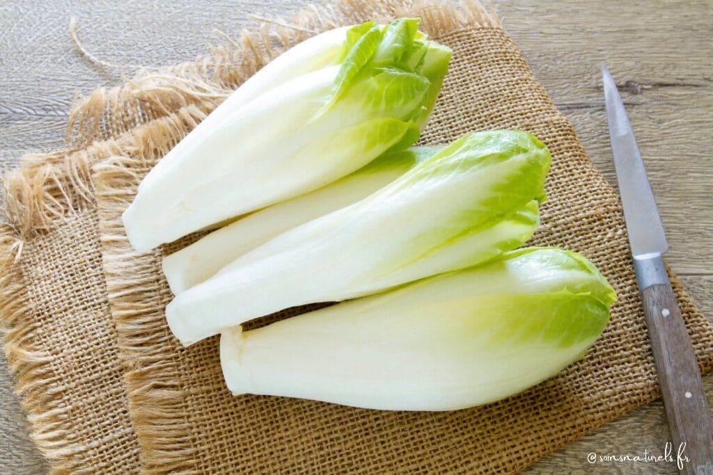 Les bienfaits insoupçonnés des endives pour votre santé