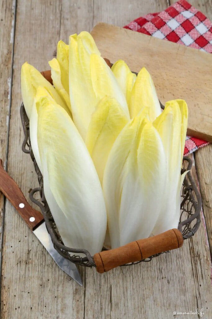 Les bienfaits insoupçonnés des endives pour votre santé