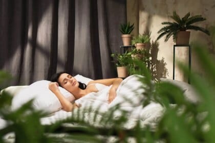 Comment les plantes peuvent améliorer votre sommeil : focus sur la valériane, la mélisse et la lavande