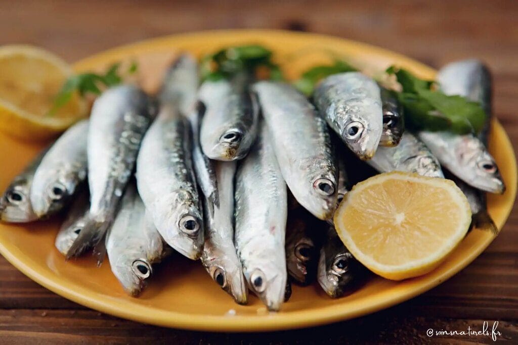 Pourquoi les sardines sont-elles bonnes pour les os et la santé en général ?