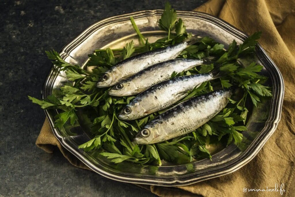 Pourquoi les sardines sont-elles bonnes pour les os et la santé en général ?