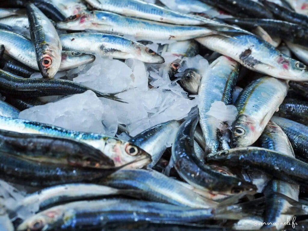 Pourquoi les sardines sont-elles bonnes pour les os et la santé en général ?