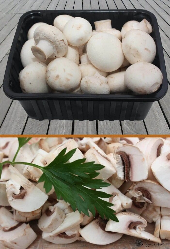 Profitez des bienfaits des champignons de Paris au quotidien