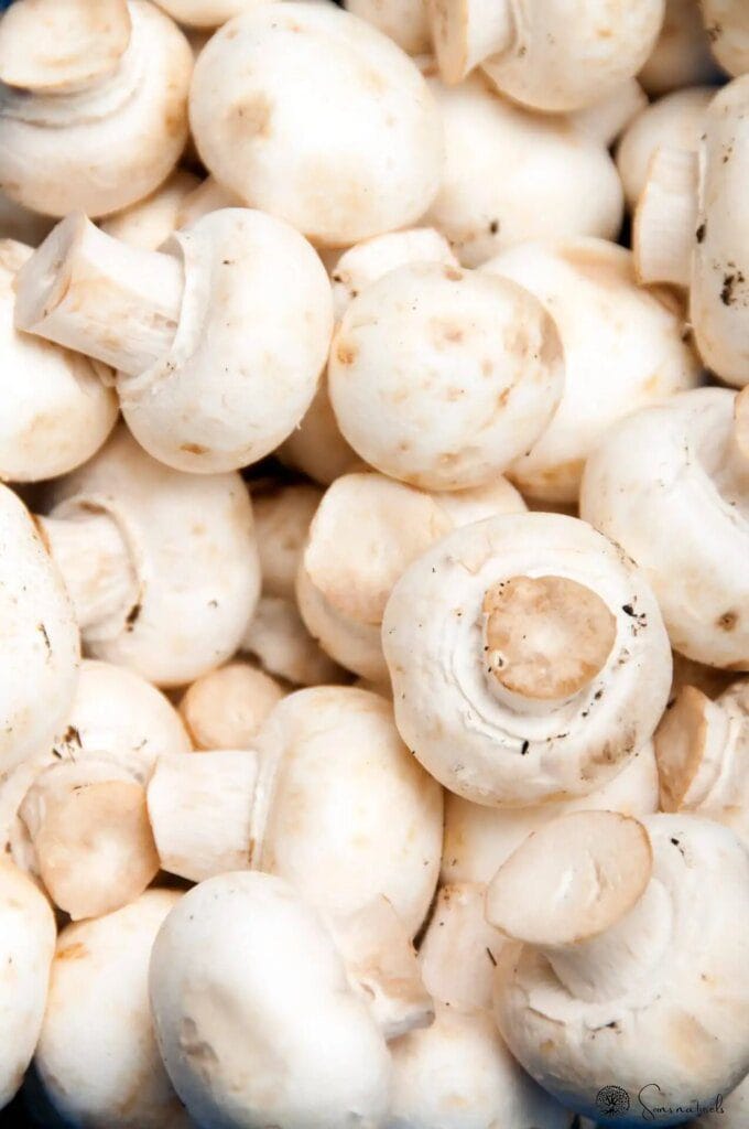 Profitez des bienfaits des champignons de Paris au quotidien