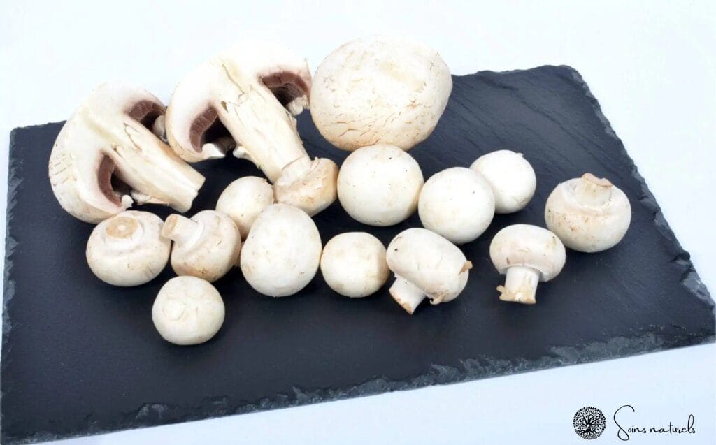 Profitez des bienfaits des champignons de Paris au quotidien