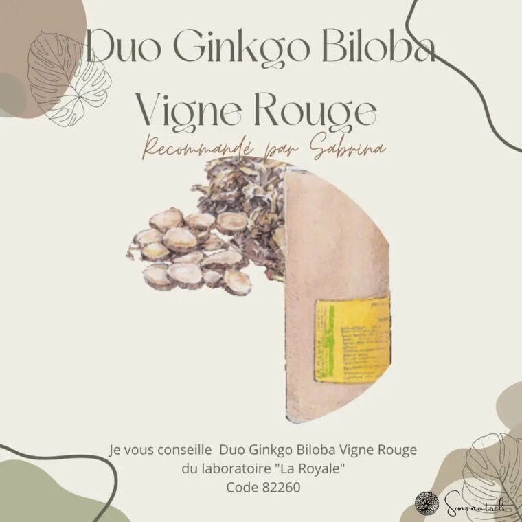 Le Ginkgo Biloba pour stimuler les fonctions cognitives