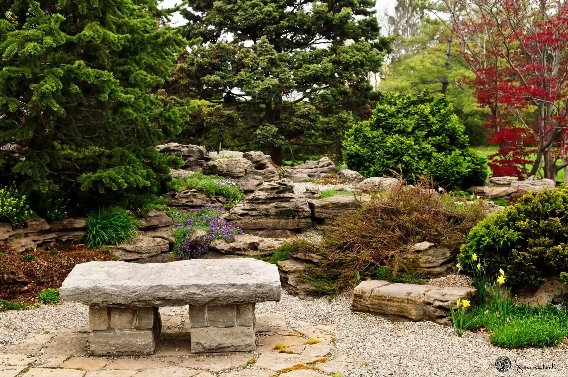 Concevoir un jardin zen pour la relaxation ultime