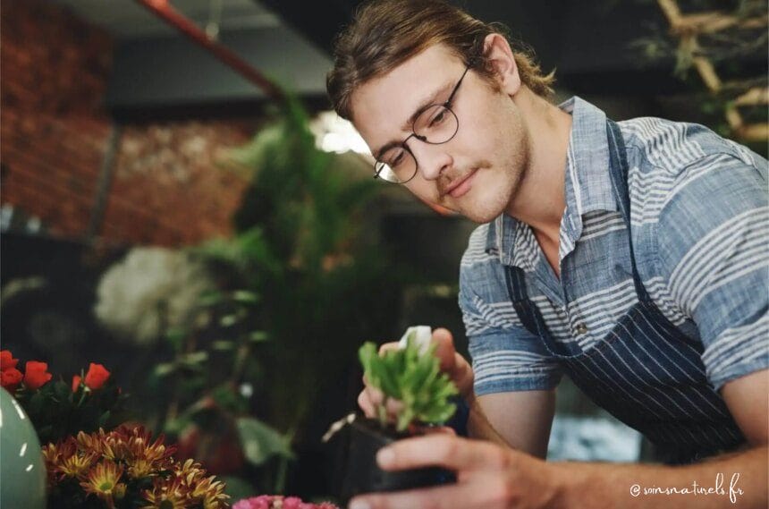 Découvrez le pouvoir des plantes thérapeutiques