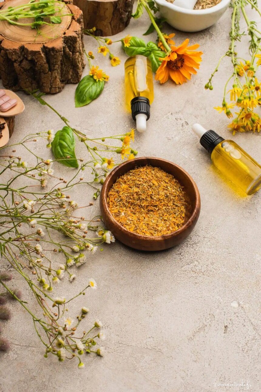 Les bienfaits de la naturopathie pour une santé optimale