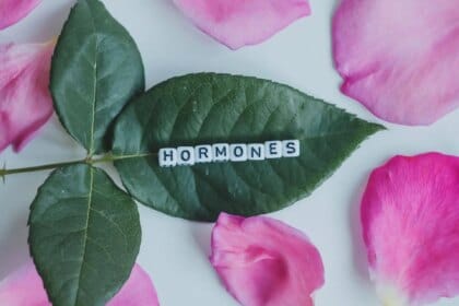 7 plantes adaptogènes pour l'équilibre hormonal : remèdes naturels