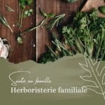 Herboristerie familiale : conseils pour une santé naturelle en famille