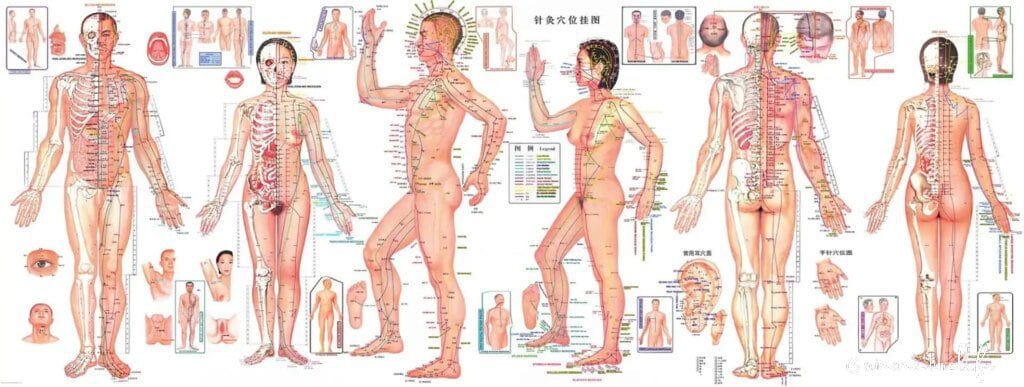 Les méridiens d'énergie essentiels à l'équilibre du corps