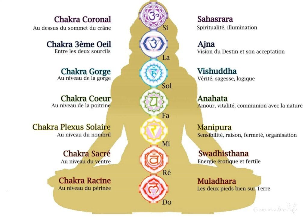 Découvrez comment l'énergie se déplace à travers les chakras