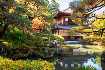 Concevoir un jardin zen apaisant pour votre bien-être mental
