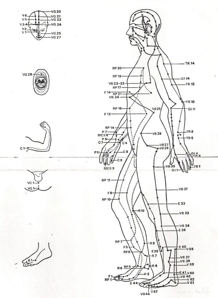 Les points d'acupuncture : clés pour dénouer les nœuds énergétiques