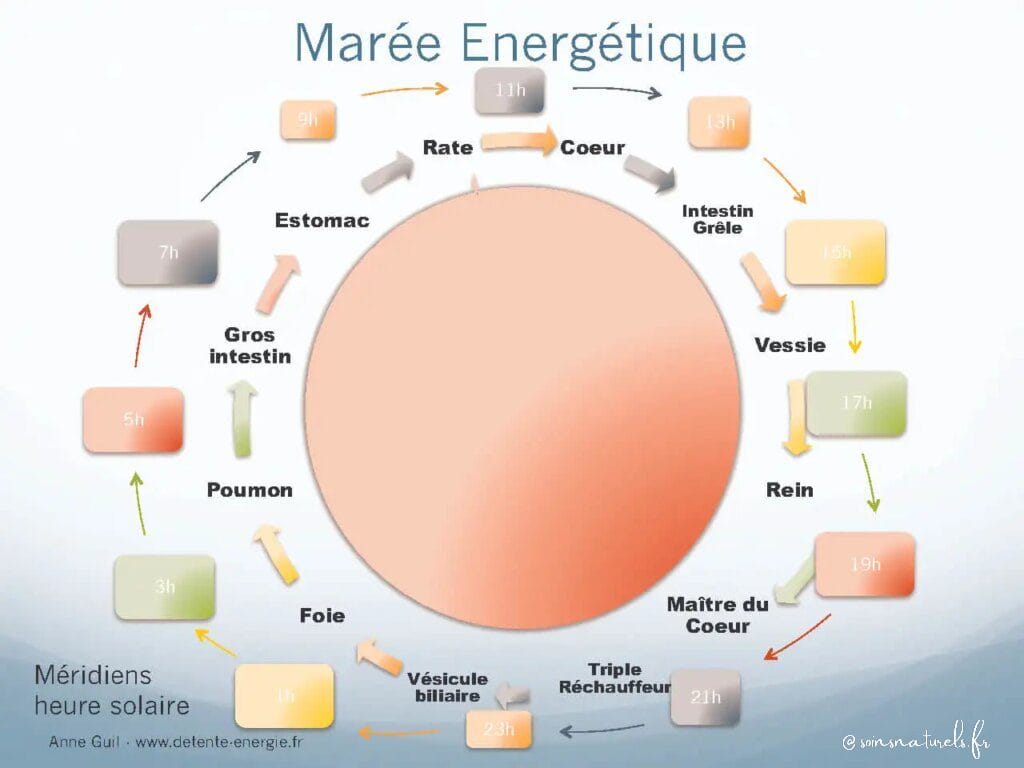 Comment la médecine traditionnelle chinoise harmonise le flux d'énergie