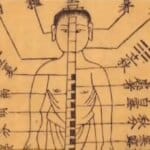 Médecine traditionnelle chinoise : Guide complet sur ses bienfaits et principes essentiels