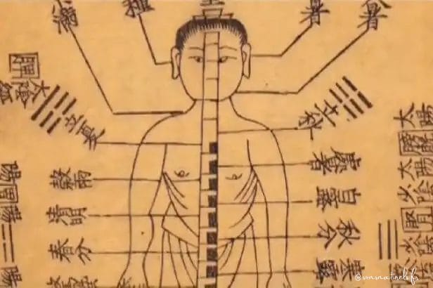 Médecine traditionnelle chinoise : Guide complet sur ses bienfaits et principes essentiels