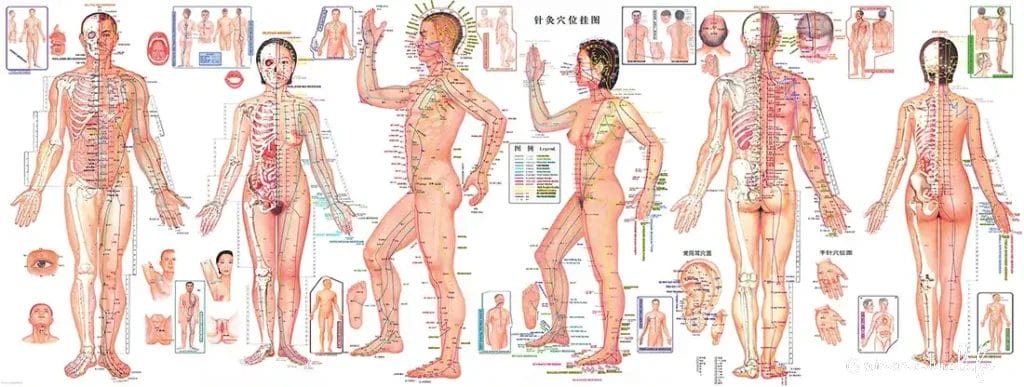 Les points d'acupuncture : clés pour dénouer les nœuds énergétiques