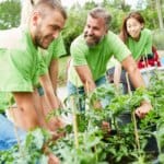 Guide pratique du jardinage thérapeutique pour le bien-être mental