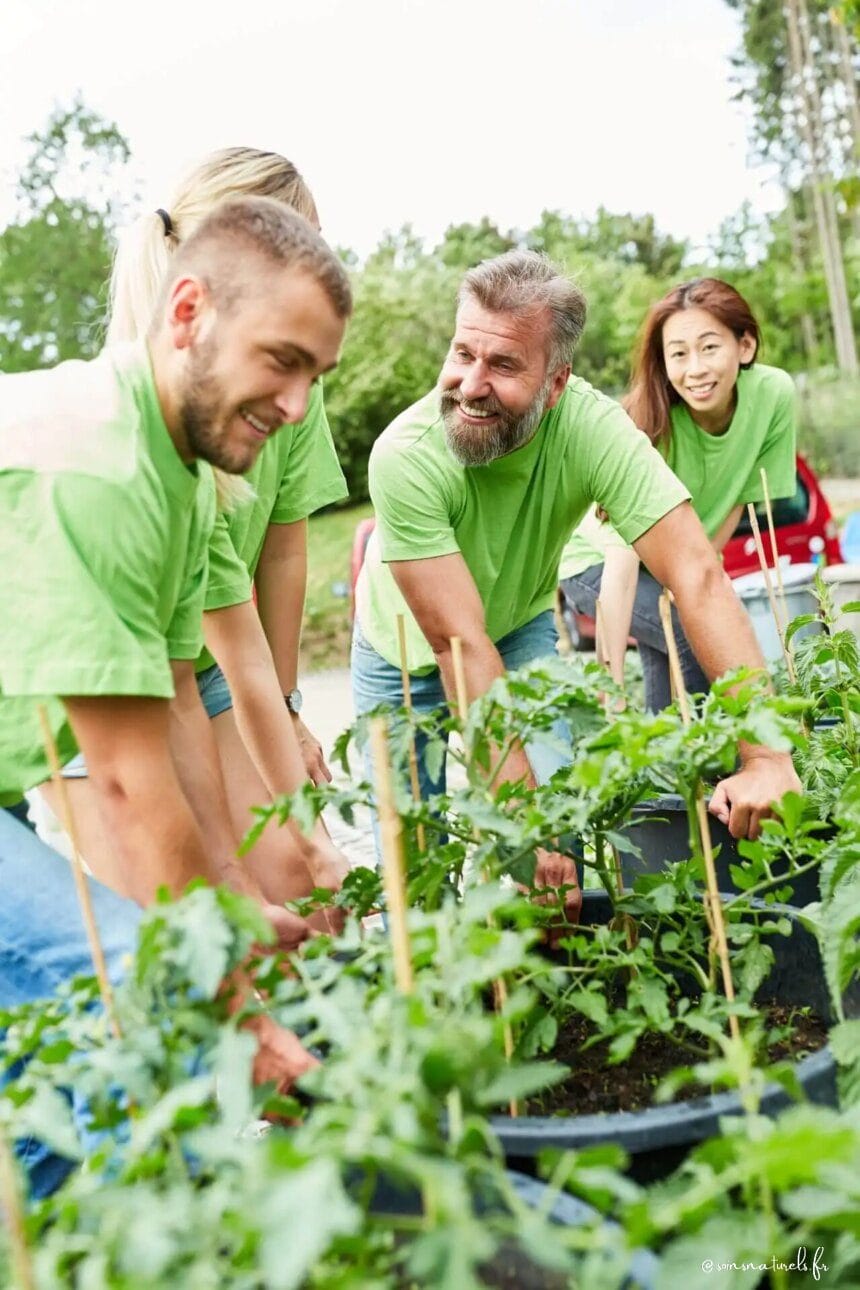 Guide pratique du jardinage thérapeutique pour le bien-être mental