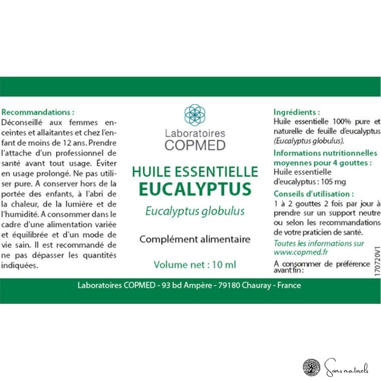 Eucalyptus – Image 4